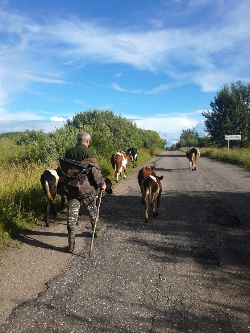 Фото автора