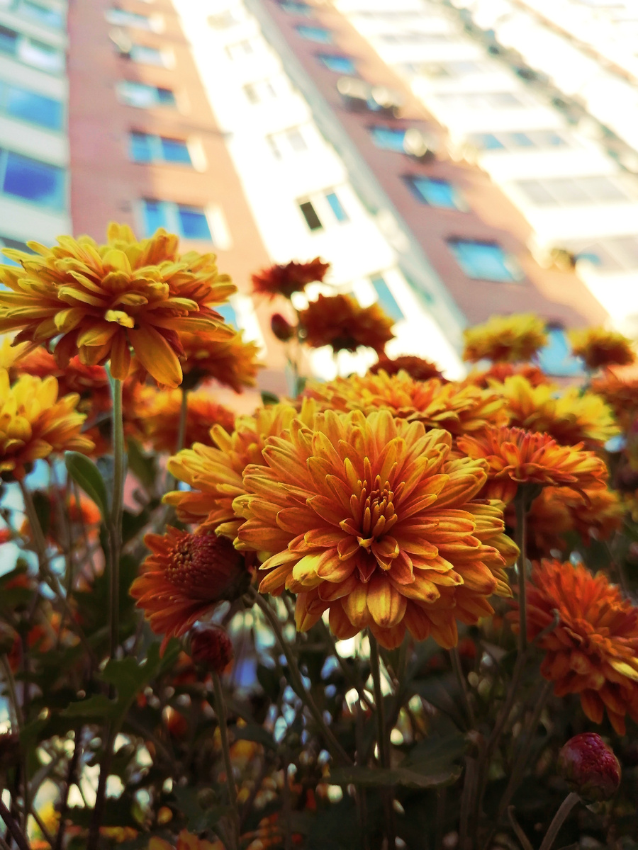 Моё фото на прогулке по Москве. 