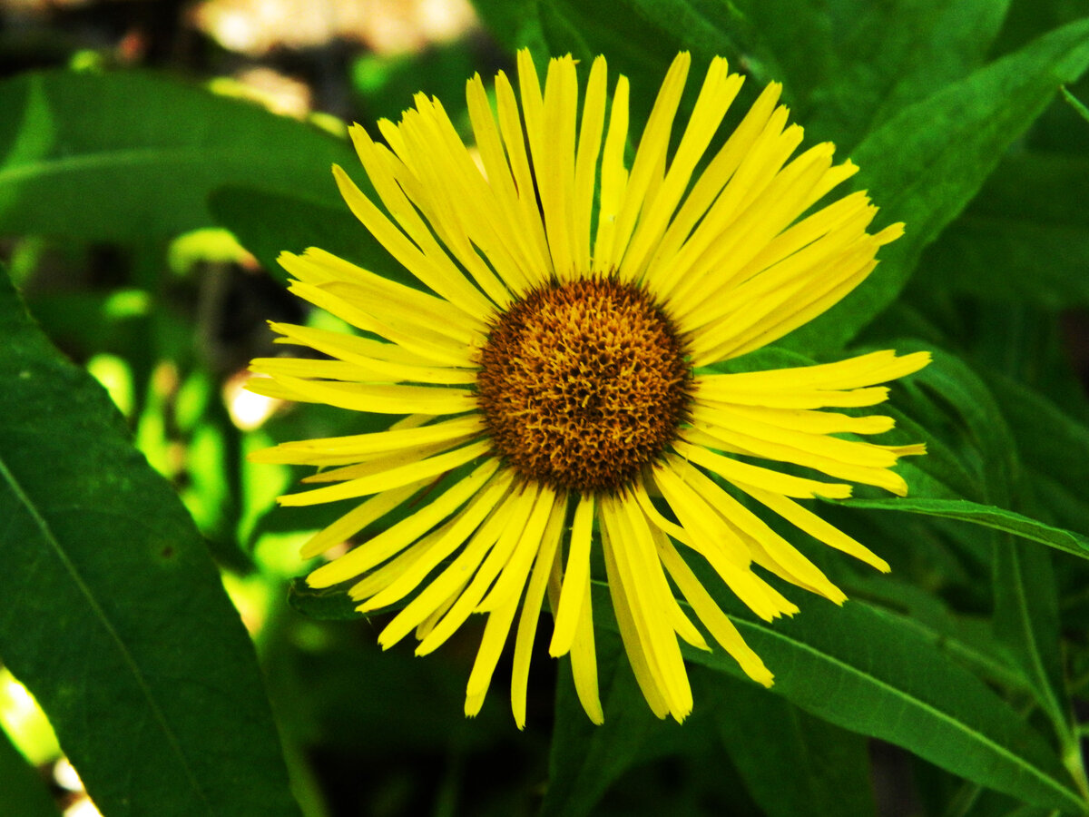 фото автора канала