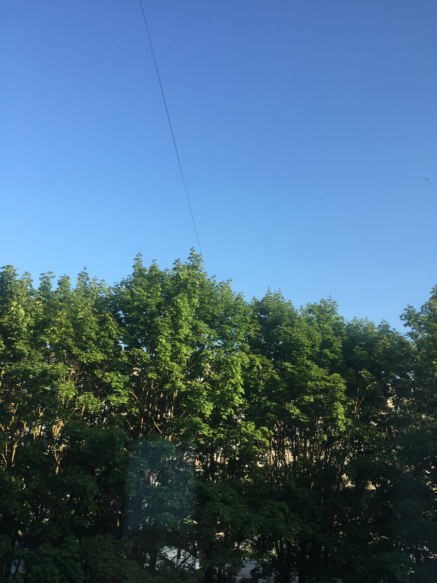 Такое вот сегодня небо. Небо тоже всегда по теме.