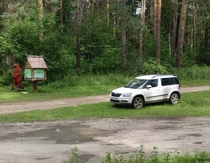 Это мы в Екатерининском бору