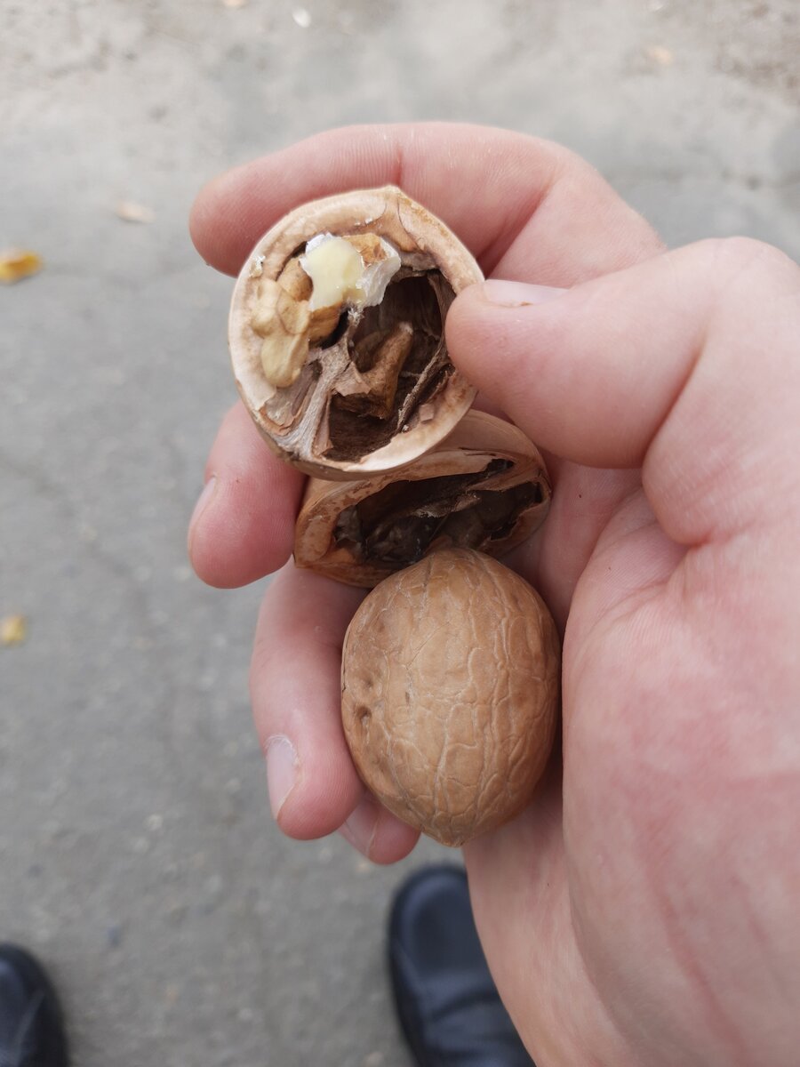 Ну как-то так... Такой вот лайфхак. Пользуйтесь :)