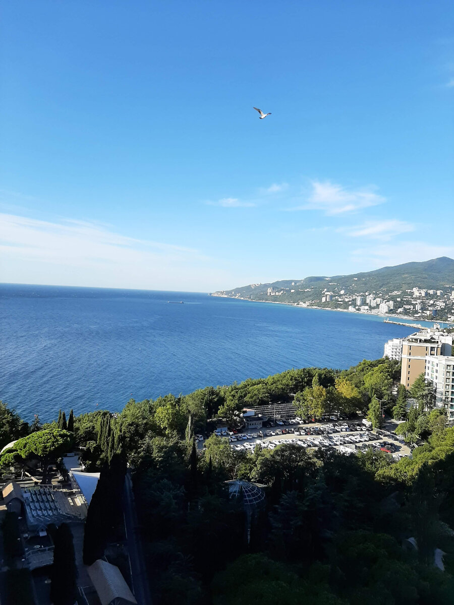 Вид из номера на море и на Ялту 