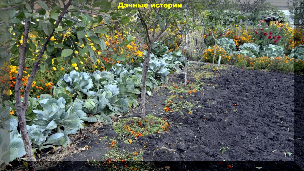 https://vk.com/photo-159774511_457249432