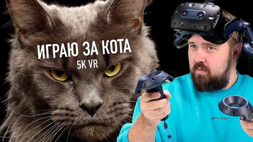 Играю за кота в VR 5K 120fps - HTC VIVE Pro 2