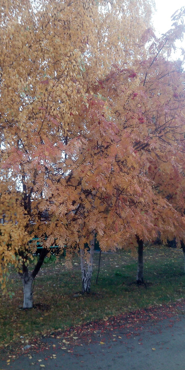 Фото из личного архива