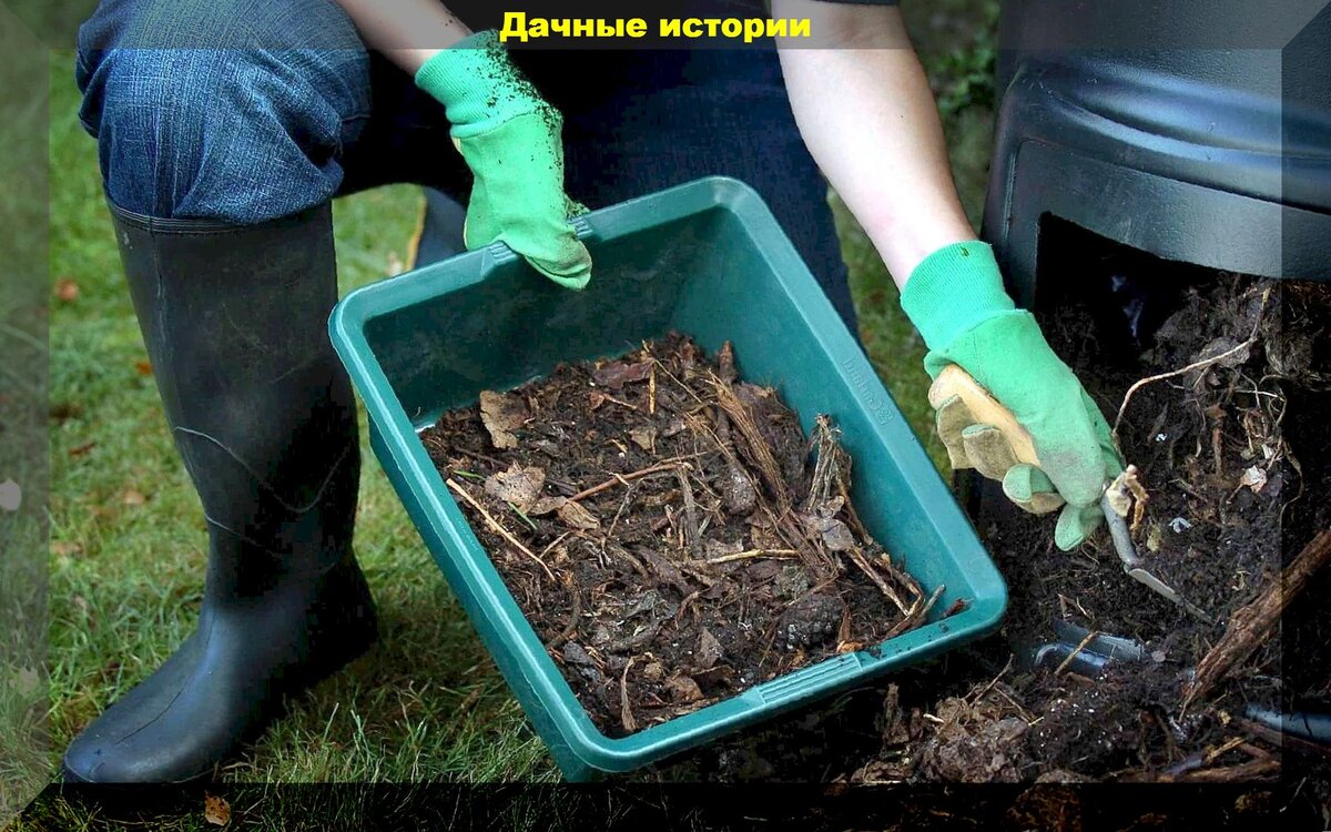 https://vk.com/photo-159774511_457249732