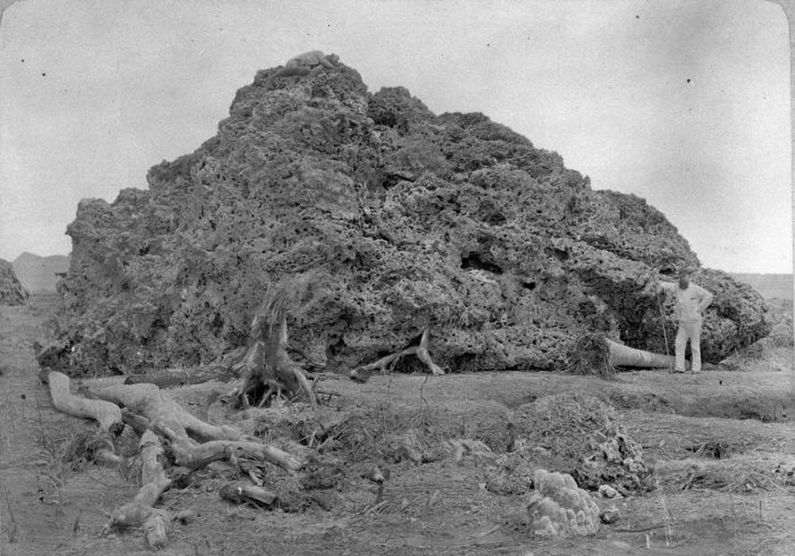Фотография, сделанная вскоре после извержения. Источник: australiangeographic.com