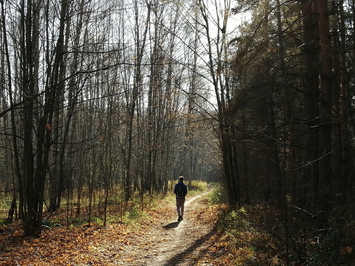 Сегодня в парке. Фото автора.