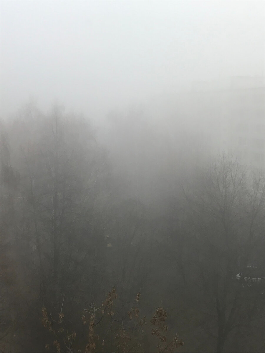 из окна квартиры (фото автора)