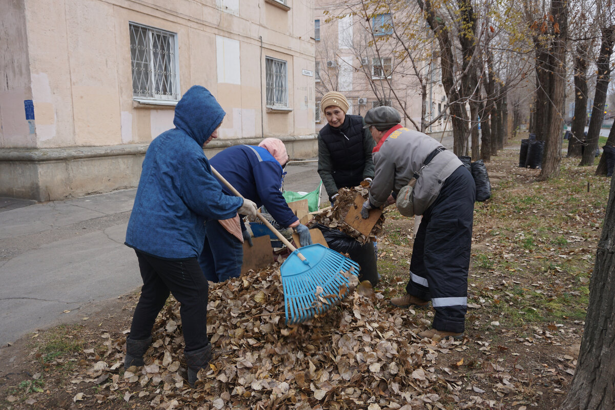 Фото пресс-службы мэрии Волжского