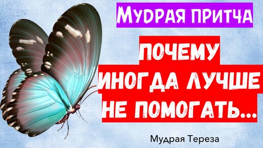 Почему иногда лучше не помогать людям? - Мудрейшая притча