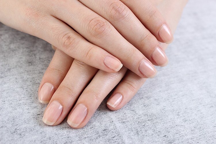 Фото из открытых источников Яндекс.Картинки