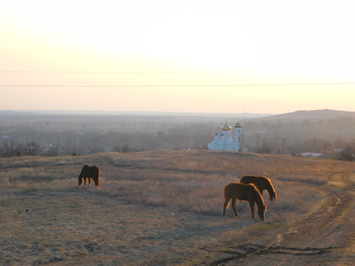 Станица Гундоровская. Фото Н. М. Гавринёва