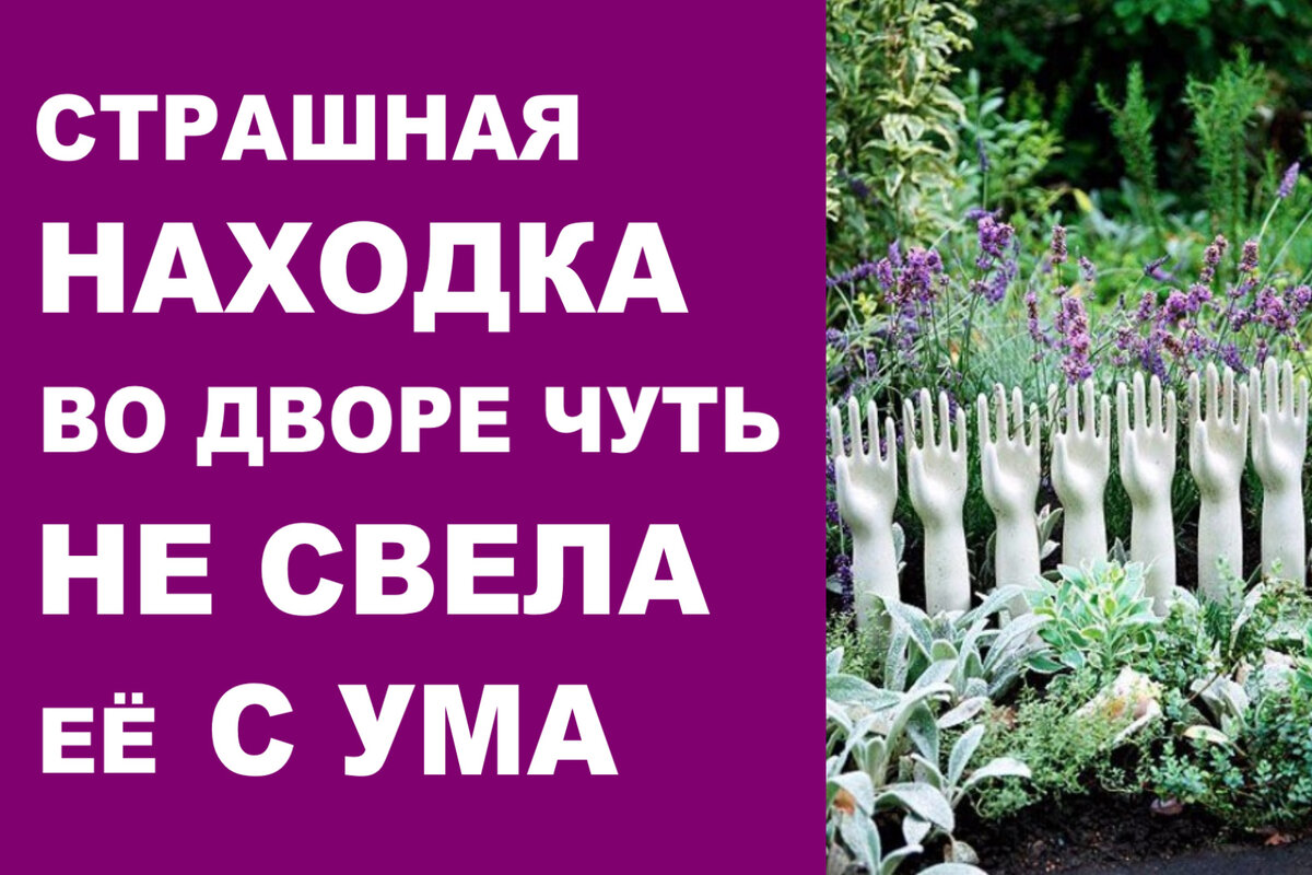 Страшная находка во дворе чуть не свела её с ума | Мастерская ...