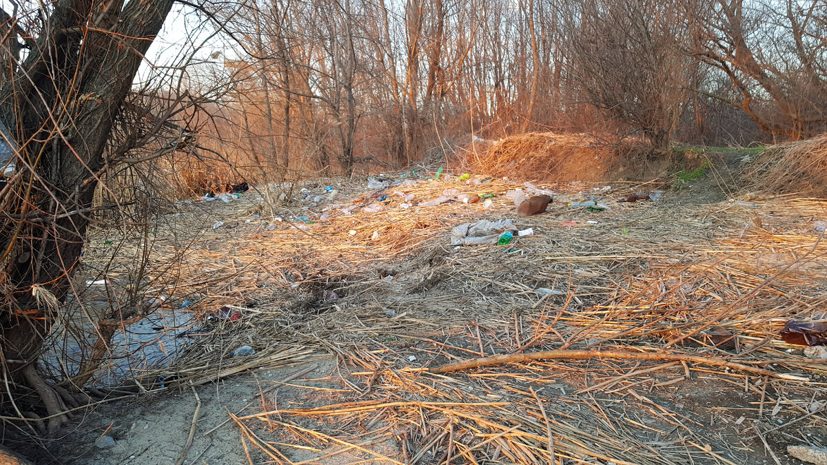 Последний раз был осенью, такого там ещё не было.