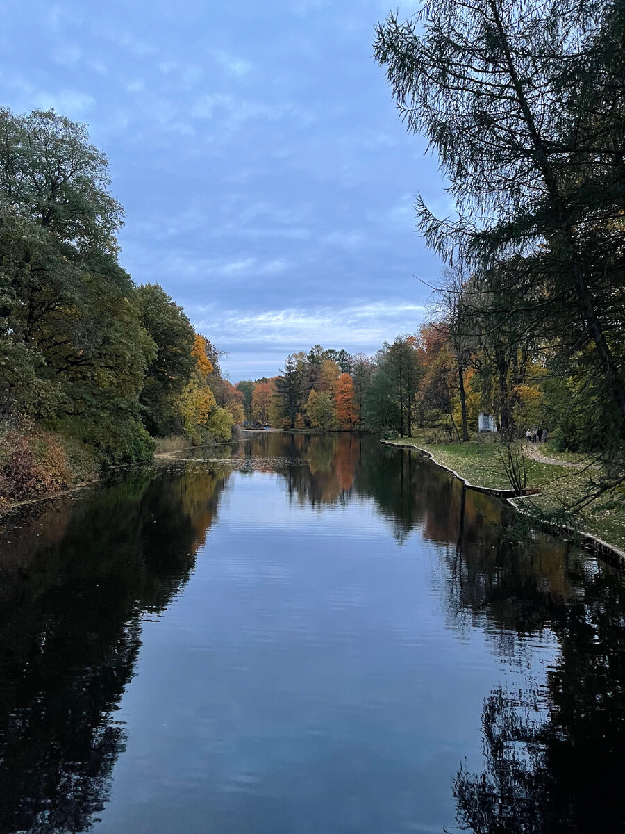 В парке масса потрясающих видов