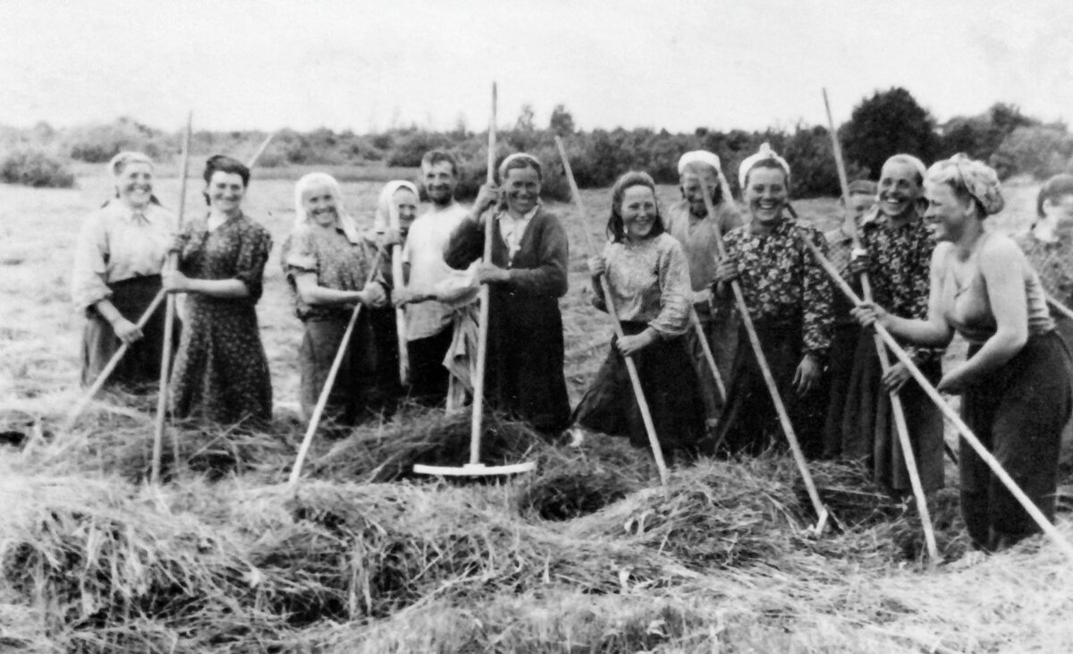 1953 год. С песнями и прибаутками работа спорится! Фото из личного архива автора.
