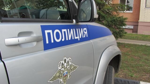    Полиция Юлия Пёрышкина © ИА REGNUM