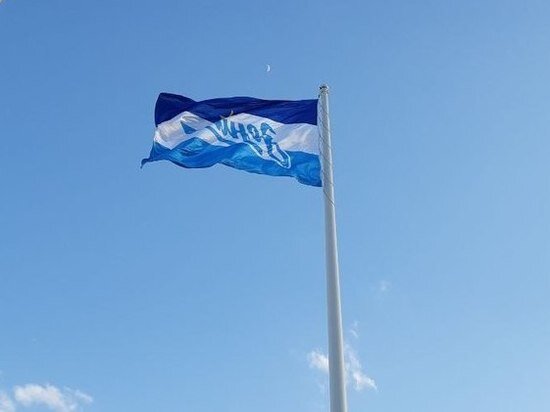     До рекорда осталось совсем немного. Фото: «МК в Питере»