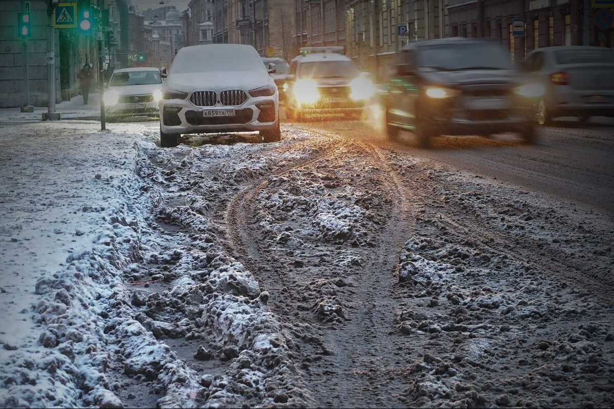   
 Фото: Михаил Огнев/«Фонтанка.ру»