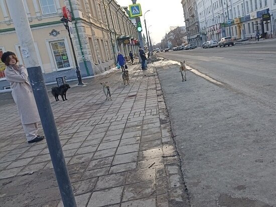     Архив "МК в Оренбурге"