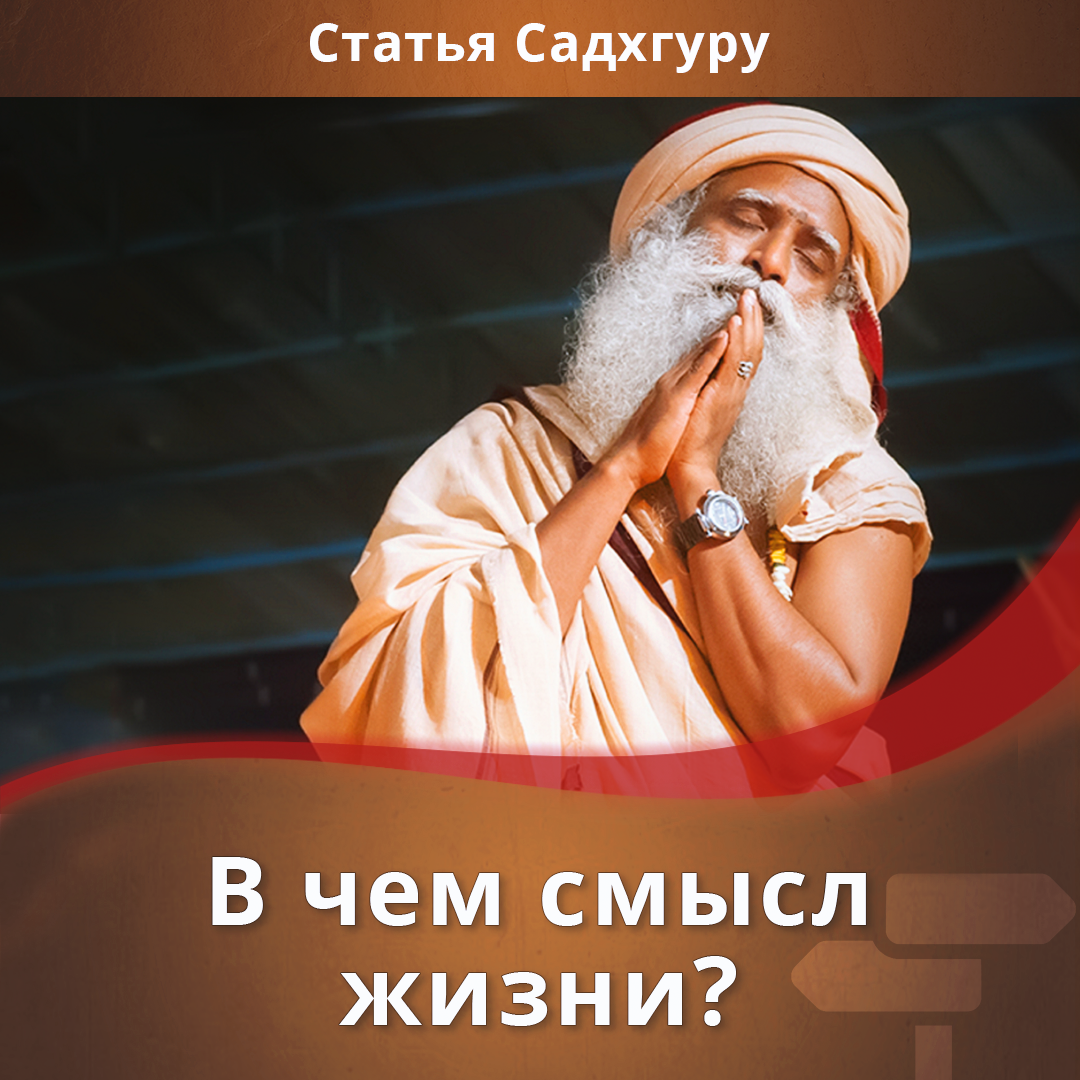 В чем смысл жизни? | Садхгуру — официальный канал на русском языке | Дзен