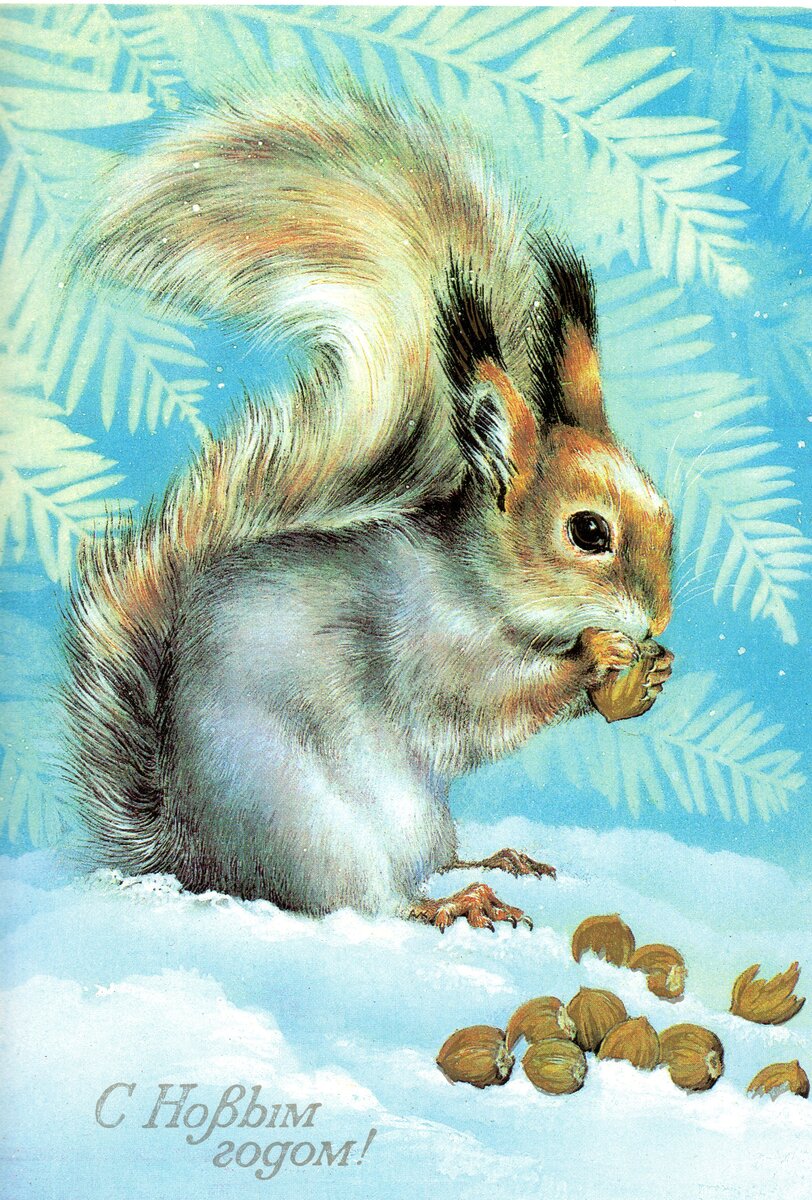 �������� �� @������� ��������