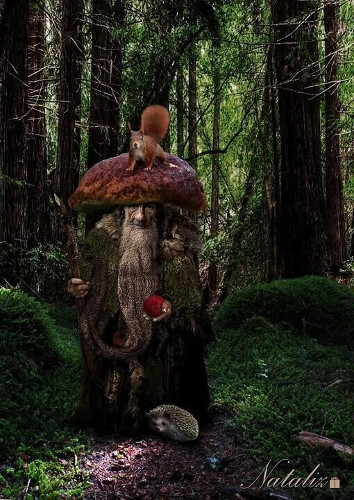 Фото взято из интернета 