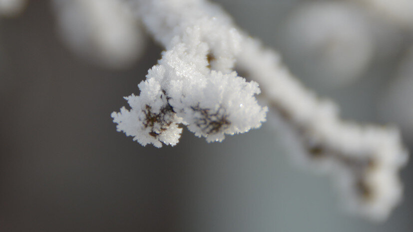   Gettyimages.ru Claudia Pommnitz / EyeEm