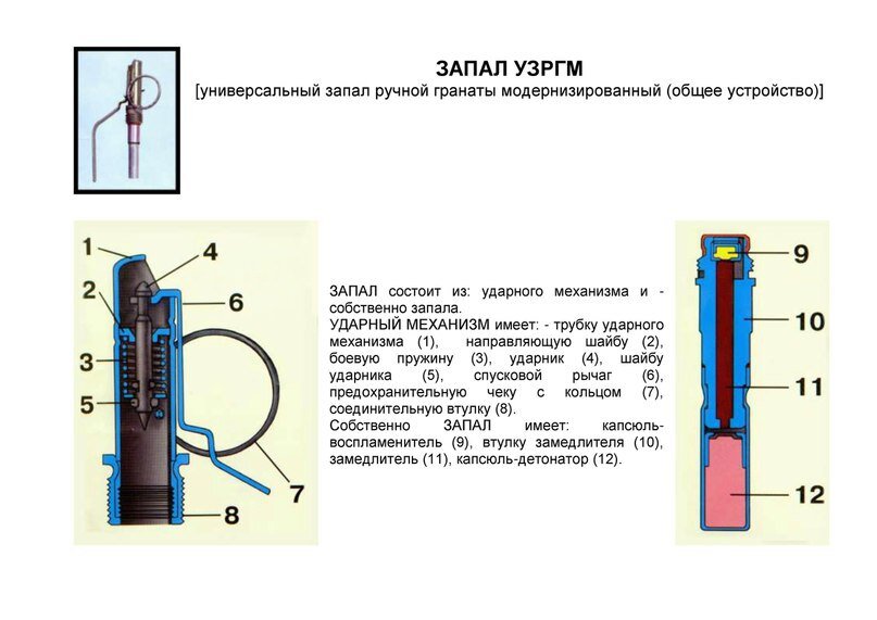 Замедлитель гранаты. Чека гранаты ф1 схема. Схема запала ф1. Запал ручной гранаты УЗРГМ. Устройство запала гранаты ф1.