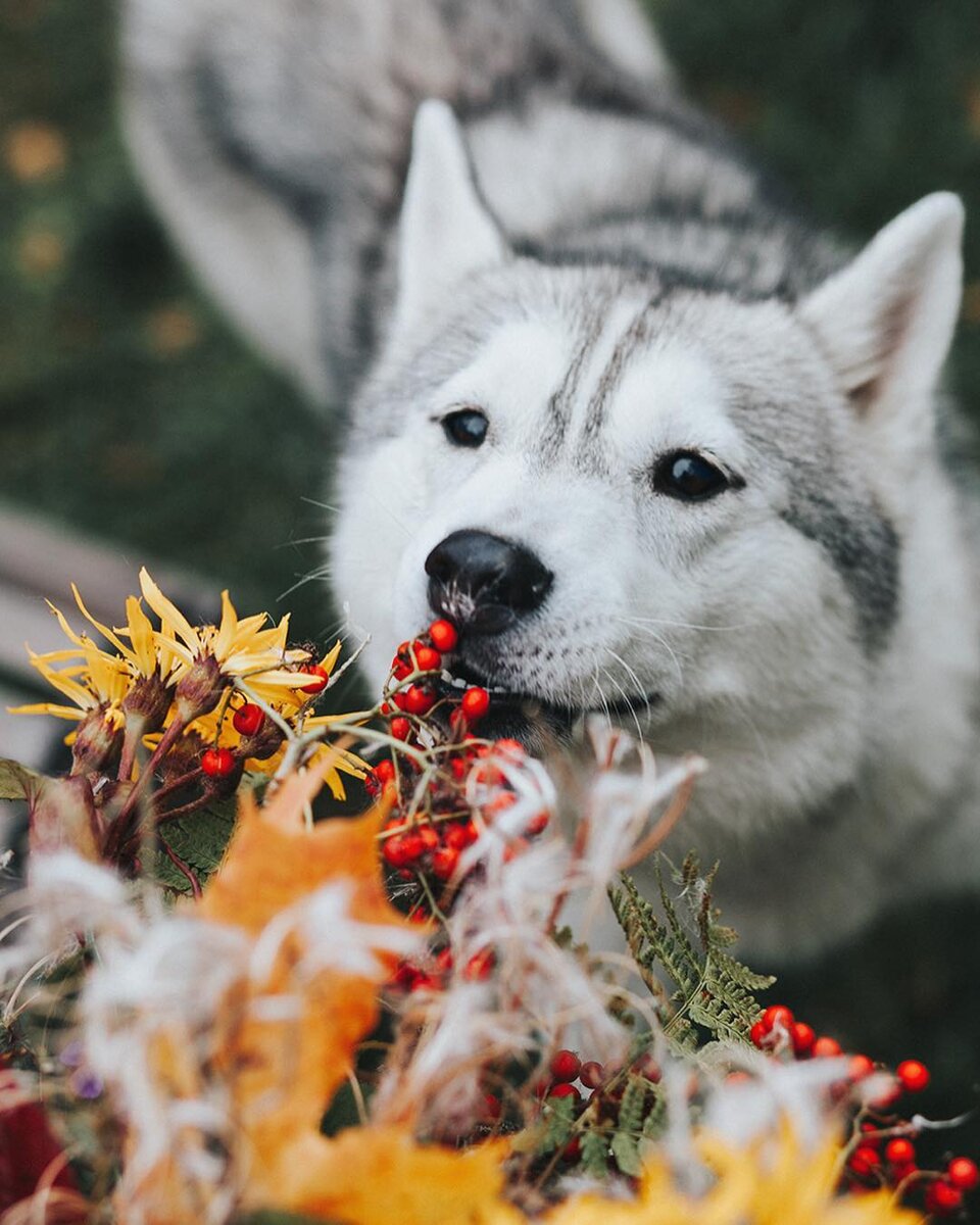 Классное фото картинки