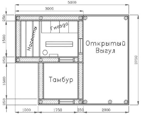 Курятник для несушек своими руками: планировка проекта на зимний период