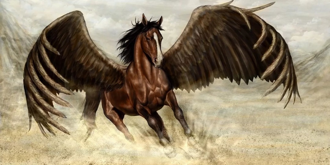 Жизни вполСИЛЫ