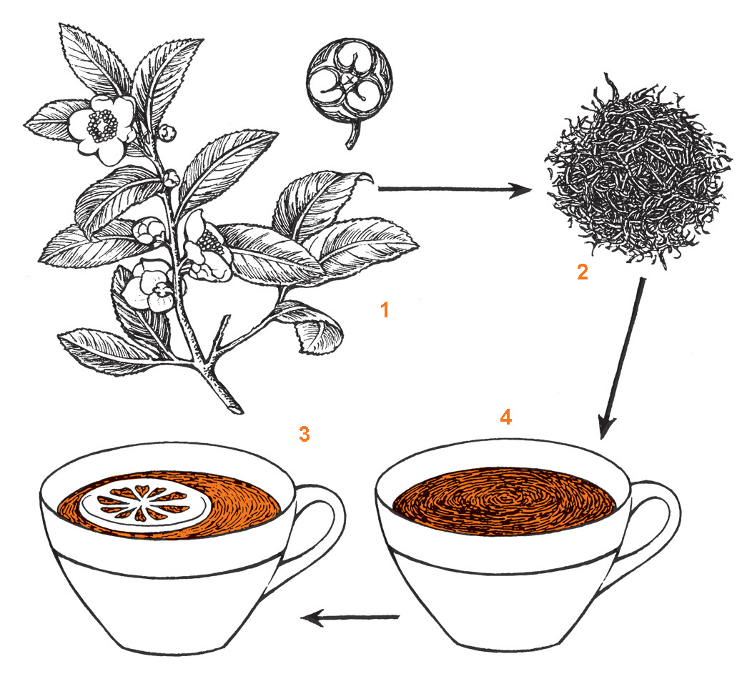 ПОДЕЛИТЬСЯ16
