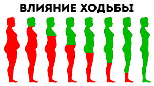 Всем привет. Ходьба и правда помогает сжечь жир. Я встаю каждое утро в 6 часов, и час гуляю. А если еще и перед выходом выпивать стакан лимонной воды, то это еще плюс к жиросжиганию. Но после ходьбы не рекомендуется час кушать. Для меня раньше 5 километров было чем то непреодолимым, сейчас 10-15 км в день не составляет особого труда. Единственное что мне не помогло так и это эмоциональное состояние