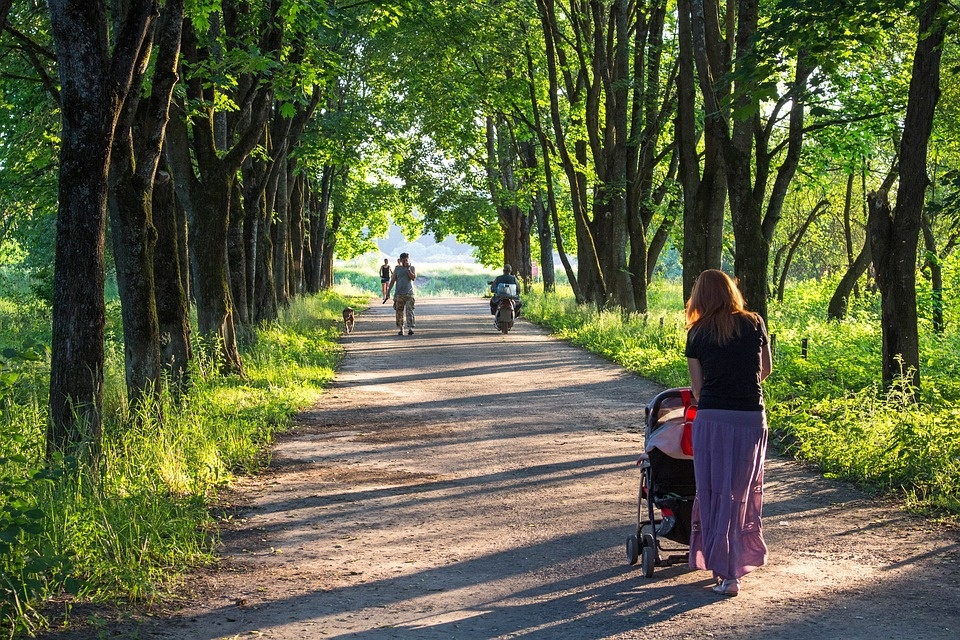 Прогулки теперь тоже долгие. Так что появился румянец. Впервые лет за 5. От неожиданности подумала, что заболела. Но нет. Румянец.