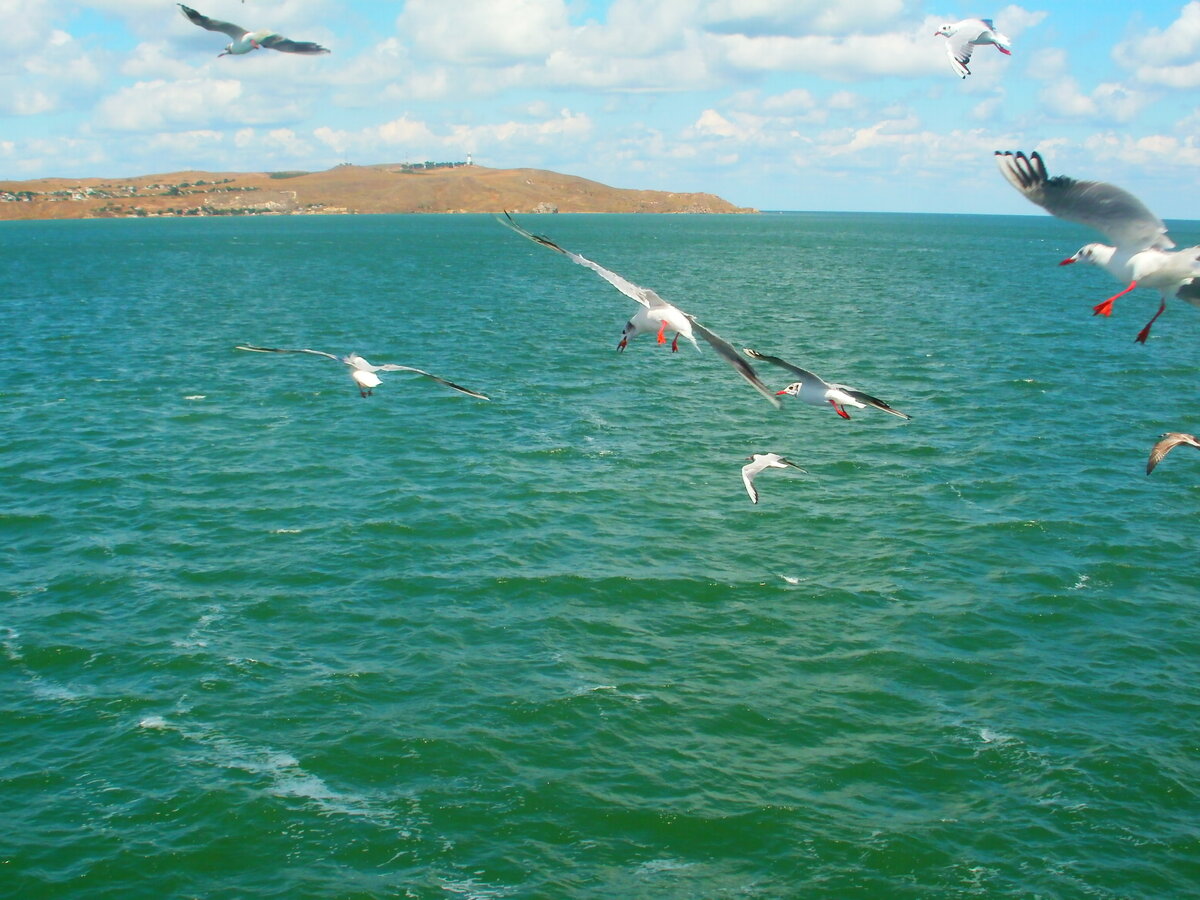 Крым прекрасен в любое время года. Здесь и далее фото "Мир в его многообразии"