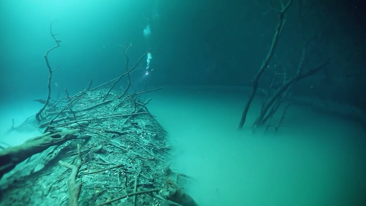 Черное море подводные фото