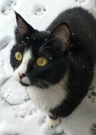 Я страдаю от холода и голода