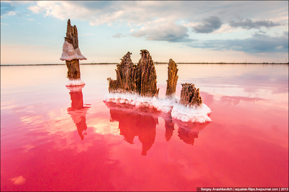Фото А. Кузовкин