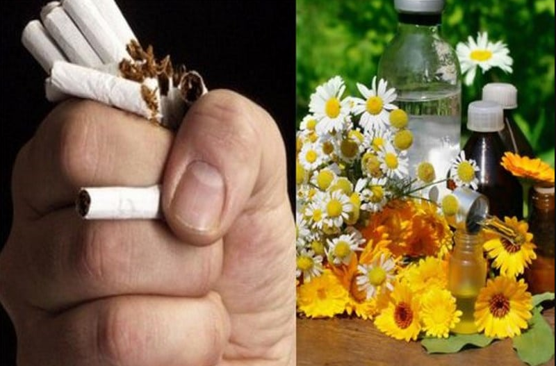 Чистка легких травами