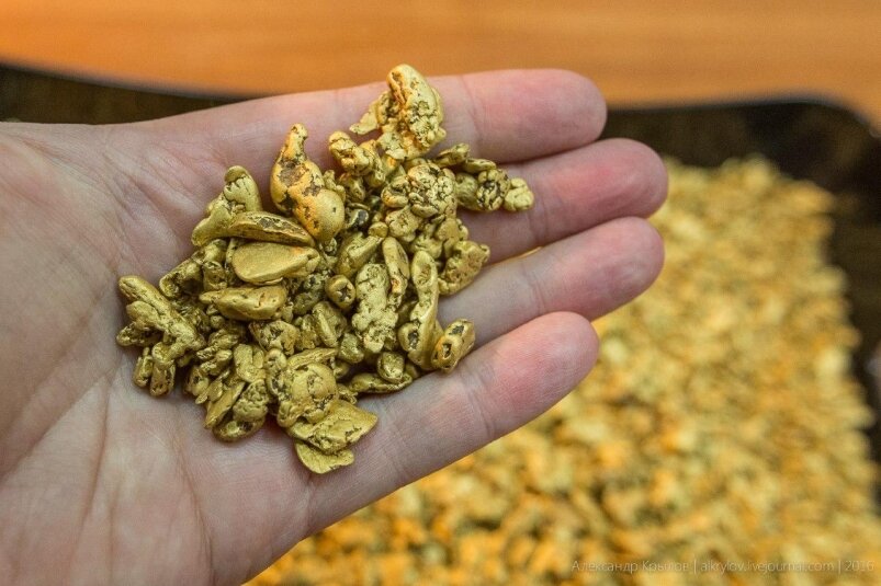 Фото: ИА MagadanMedia