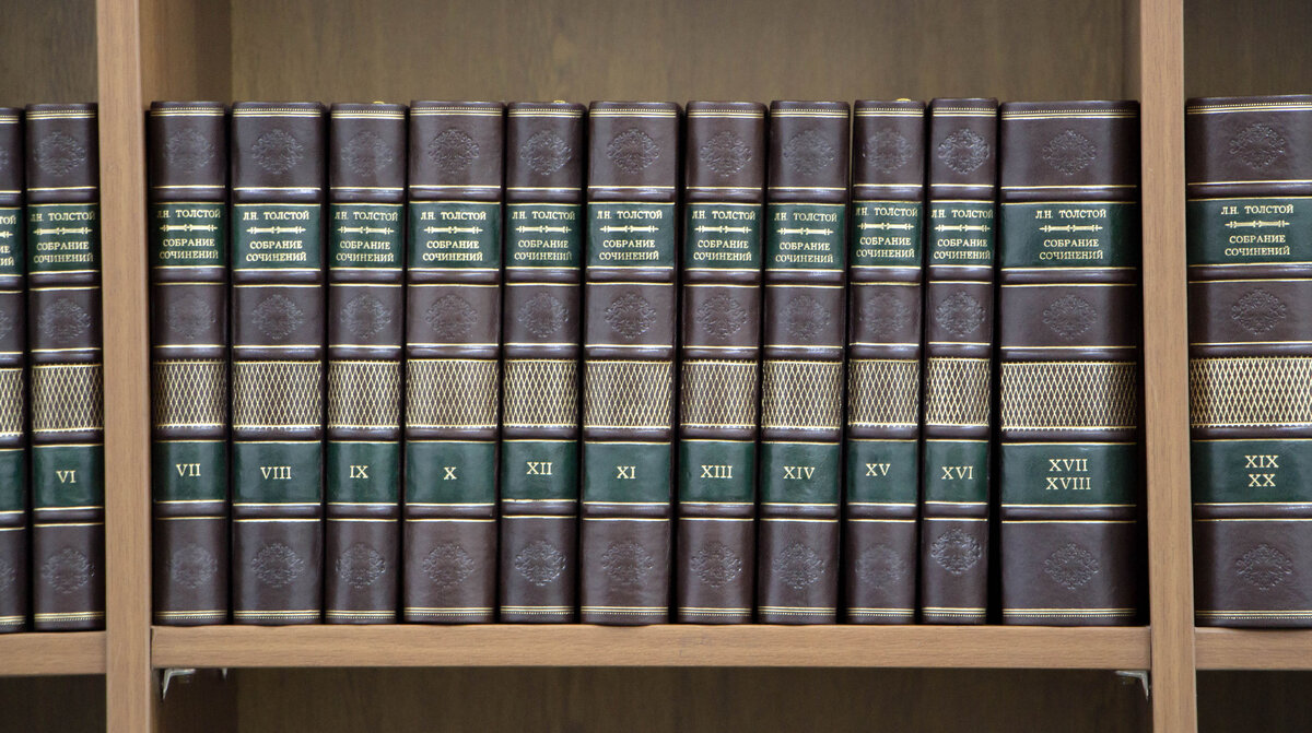 толстой книжная полка. книга на книжной полке. полка со старыми книгами. книжные полки с книгами. полли книга.