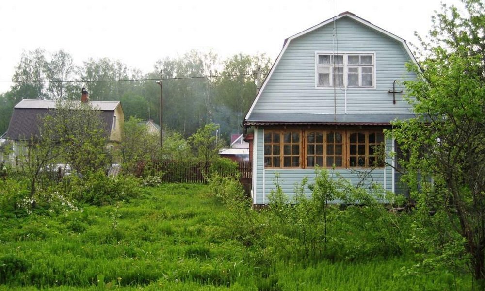 Фото gubdaily.ru