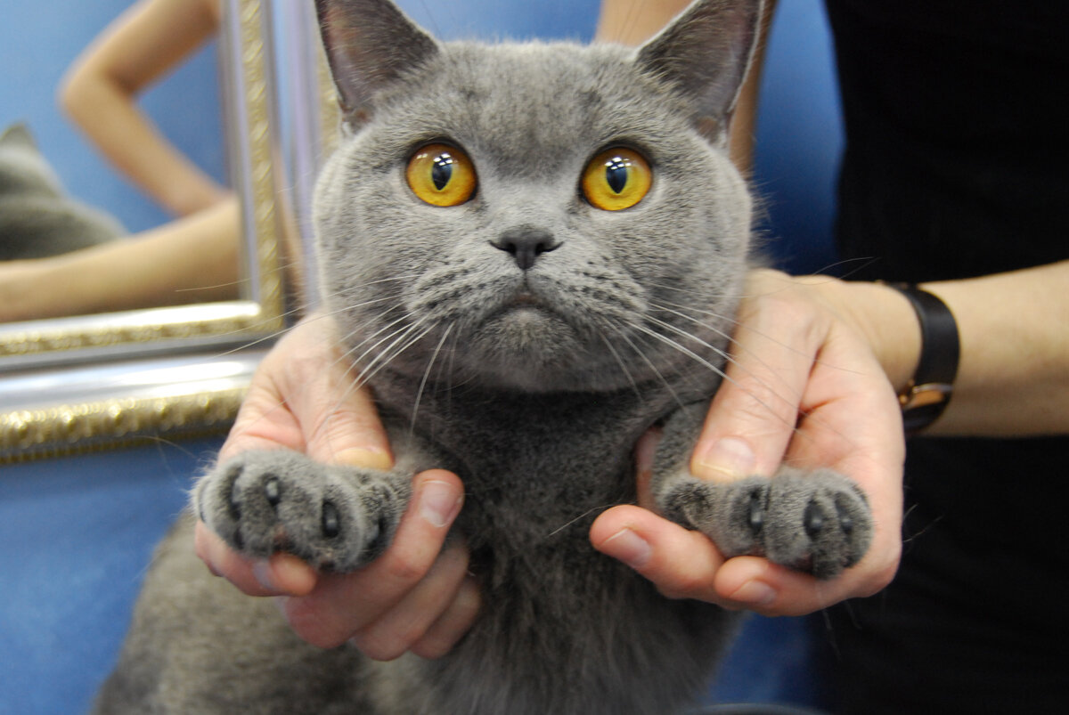 Источник фото: http://sharlott-megg.ru/gallery/antizarapki/image-50-01.jpg