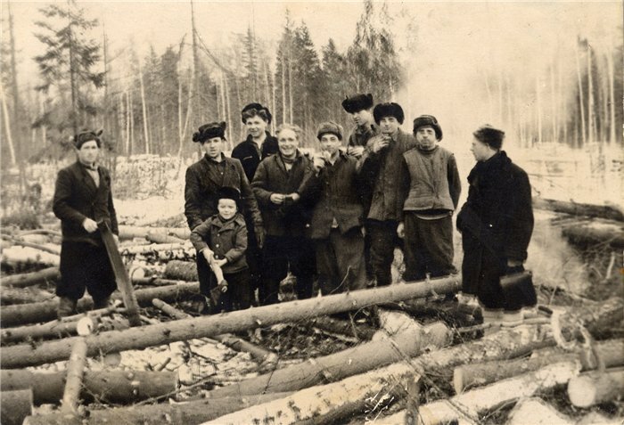 Презентация вологодская область в годы великой отечественной войны