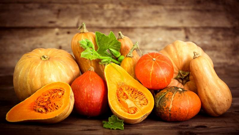 Картинка из Яндекс.Поиска