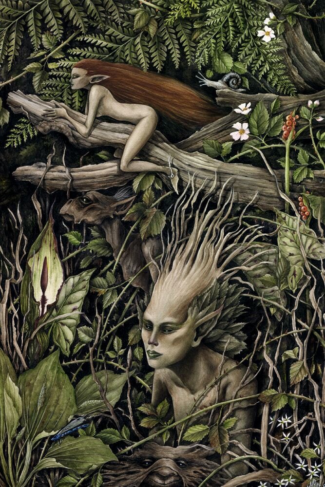 Изображение из открытых источников - Яндекс.Картинки