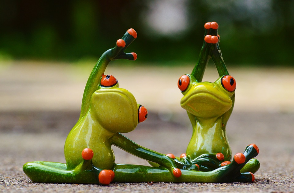 https://pixabay.com/photos/sport-gymnastics-frog-funny-927760/